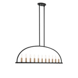 Abbott 54'' Linear Chandelier in Black - Additional View (ABB-3009-BK)