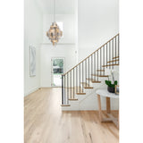 Addis 31.5'' Chandelier in Polished Chrome - Lifestyle View (ADD-319-CH-AU)