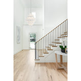 Addis 31.5'' Chandelier in Polished Chrome - Lifestyle View (ADD-319-CH-CL)
