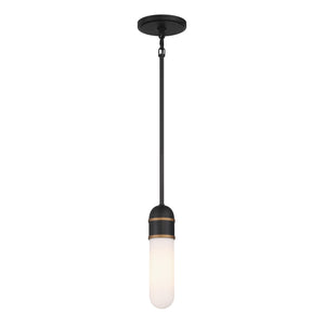 Brian Patrick Flynn Capsule 1 Light Outdoor Pendant – Crystorama