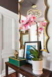Clover 18.25'' Semi Flush Mount in Aged Brass - Lifestyle View (CLO-8894-AG)