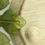 Josie 20.5'' Semi Flush Mount - Champagne Green Tea Finish Detail (4840-CT)
