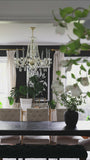 Traditional Crystal 32'' Chandelier in Polished Chrome - How To Videos (1110-CH-CL-MWP)